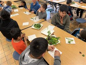 Students trying leafy greens from the garden.